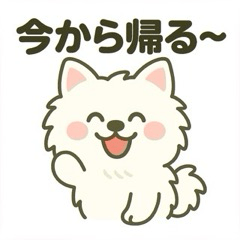 [LINEスタンプ] ハクの部屋／日常使えるスタンプ2
