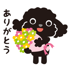 [LINEスタンプ] 黒トイプードル_お返事スタンプ
