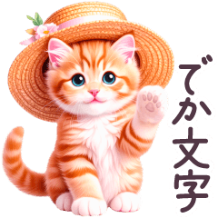 [LINEスタンプ] 梅雨 夏 毎日使える でか文字 ねこ 日常