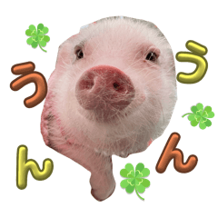 [LINEスタンプ] れっぷあ2