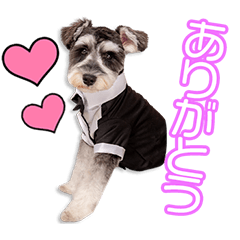 [LINEスタンプ] 出﨑家の照ちゃん