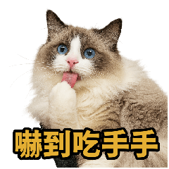 [LINEスタンプ] 仙女感たっぷり猫スタンプ第1弾