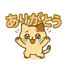 [LINEスタンプ] ニャンの日常で使えるスタたち