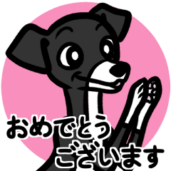 [LINEスタンプ] 【ブラック3】1年中使える♡パピーイタグレ