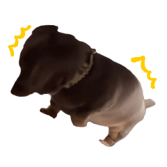 [LINEスタンプ] 文字あり、うぬ(いぬ)のすたんぴ
