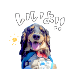 [LINEスタンプ] だっちゃまのスタンプ4