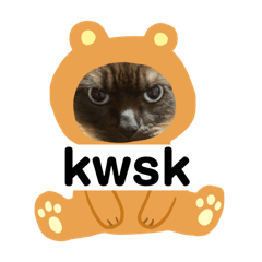 [LINEスタンプ] 限定333専用