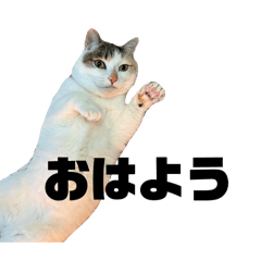 [LINEスタンプ] あいちゃんだよ①
