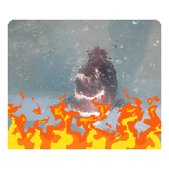 [LINEスタンプ] 動物スキーム2