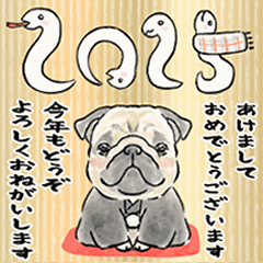 [LINEスタンプ] 【再販】飛び出す！パグと新年のご挨拶♪