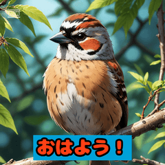 [LINEスタンプ] すずめの感情スタンプ