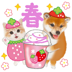 [LINEスタンプ] シバたん❤️モグいちご❤️かわいい犬＆猫