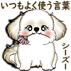 [LINEスタンプ] New シーズー犬 2025 「いつも使う言葉」