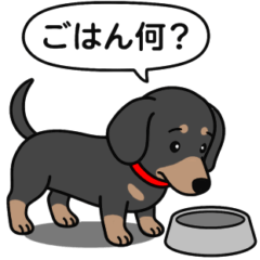 [LINEスタンプ] ミニチュアダックス(スムースブラックタン)