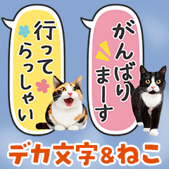 [LINEスタンプ] ねこ写真❤たてにながーい★吹き出し★BIG