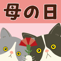 [LINEスタンプ] 【母の日】ハチワレコンビ【ありがとう】の画像（メイン）