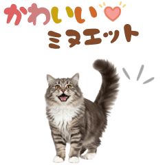 [LINEスタンプ] いつでも使えるミヌエットスタンプ