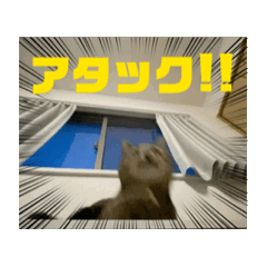 [LINEスタンプ] うごく！そらスタンプ
