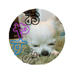[LINEスタンプ] ピノるごんDX