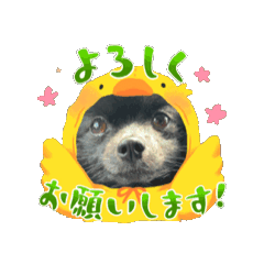 [LINEスタンプ] のわみるくvol.6