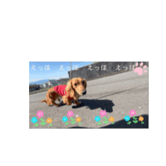 [LINEスタンプ] Rふぁみりー