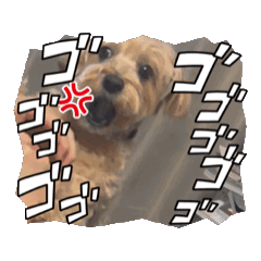 [LINEスタンプ] みんなだいすき！ひなみんご
