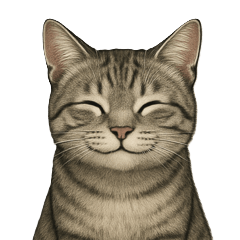 [LINEスタンプ] サバトラ猫の表情図鑑