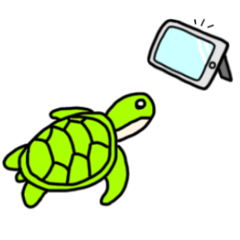 [LINEスタンプ] かめさんのまいにち5