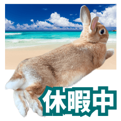 [LINEスタンプ] うちのパンちゃん0506