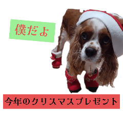 [LINEスタンプ] 素直な言葉で伝えるメッセージ