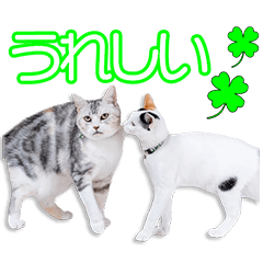 [LINEスタンプ] 力久家のさくら＆あんみつちゃん