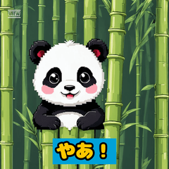 [LINEスタンプ] ほっこりパンダの日常！！！