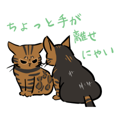 [LINEスタンプ] 猫のあおいさん（ベンガル Ver.）