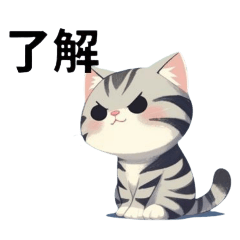 [LINEスタンプ] アメリカンショートヘアのあいさつスタンプ