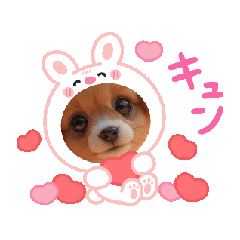 [LINEスタンプ] oirann35