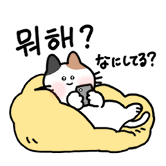 [LINEスタンプ] 3匹のねこと韓国語2