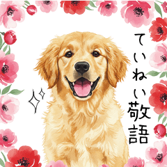 [LINEスタンプ] ゴールデンの丁寧な敬語