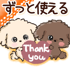 [LINEスタンプ] 愛犬☆トイプードルdeごあいさつ☆敬語入り