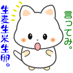 [LINEスタンプ] nbobi たまちん
