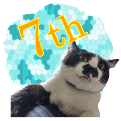 [LINEスタンプ] 木更津猫チョビすけ_07