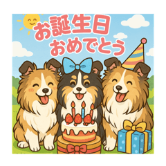 [LINEスタンプ] 色々なシェルティのスタンプ
