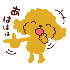 [LINEスタンプ] トイプードル_ハロースタンプ