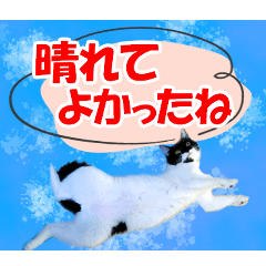 [LINEスタンプ] ミツ夫さんの日常会話 初夏・梅雨ver.