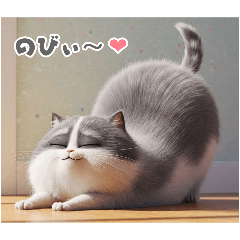 [LINEスタンプ] まんまる顔の猫様〜第二弾〜