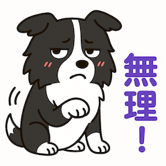 [LINEスタンプ] ほんわかボーダーコリー