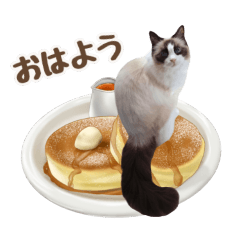 [LINEスタンプ] NEW 毎日使える☆ルルちゃんスタンプ
