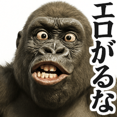 [LINEスタンプ] 【すんごい使える】ゴリラ