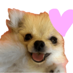 [LINEスタンプ] あたち、けむぴー♡