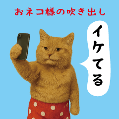 [LINEスタンプ] お猫様の吹き出しスタンプ