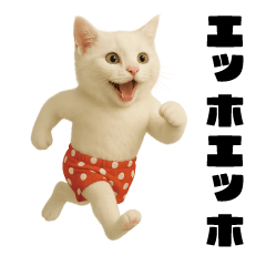 [LINEスタンプ] おネコ様のエッホエッホ